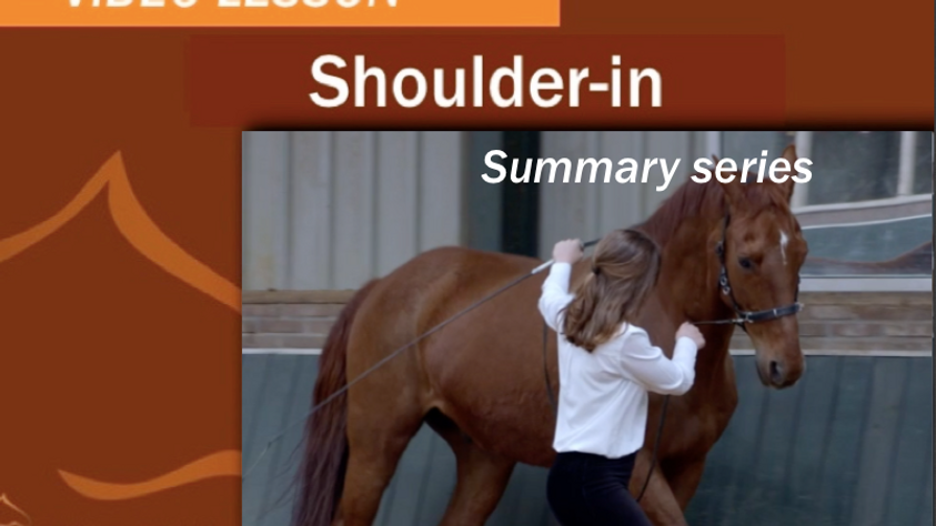 Summary Series: Shoulder-In
